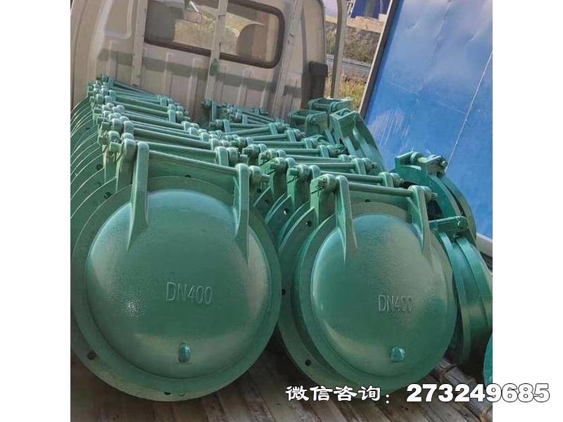 荷塘污水管玻璃钢拍门