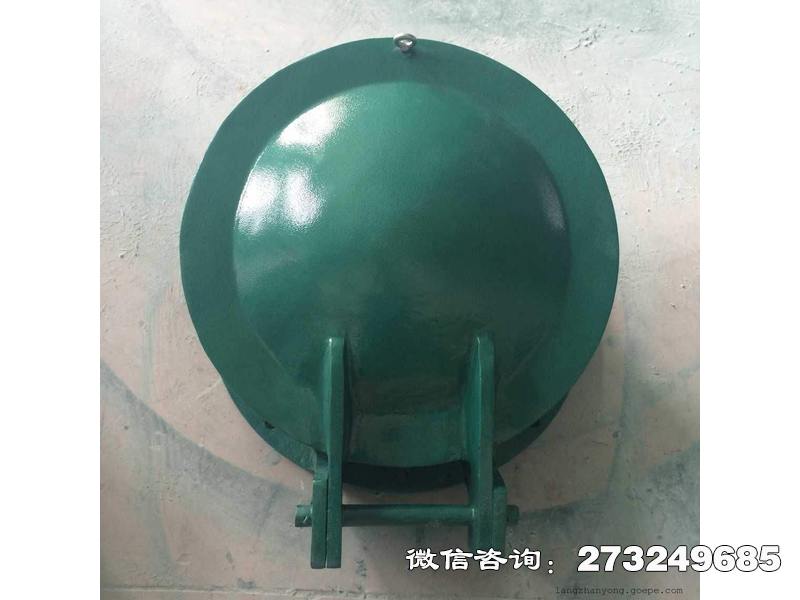 潍城玻璃钢圆形拍门