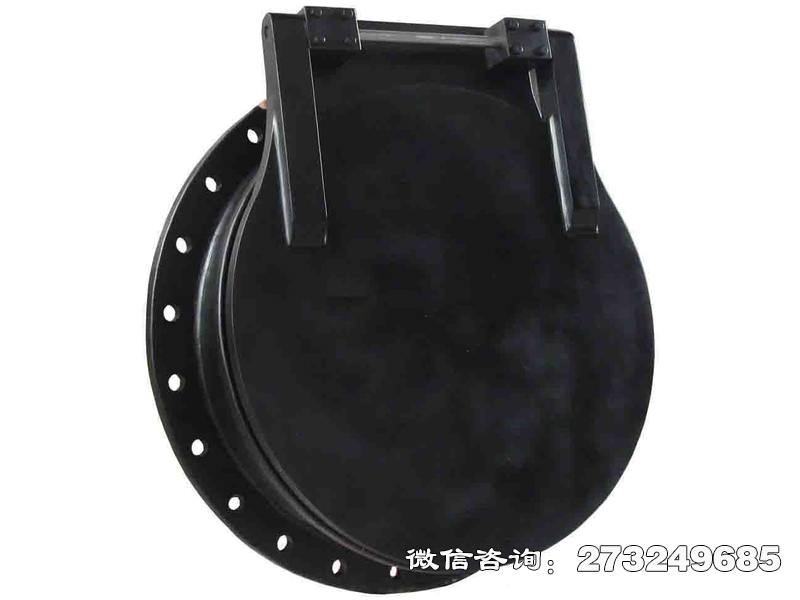 桃城pgz铸铁拍门